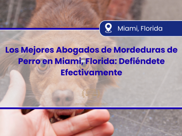 Los Mejores Abogados de Mordeduras de Perro en Miami, Florida: Defiéndete Efectivamente